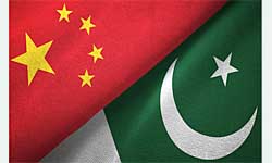 Pakistan’s Sesamum seeds export to China achieves historic figure